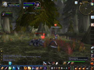 WoWScrnShot_081907_111115.jpg
