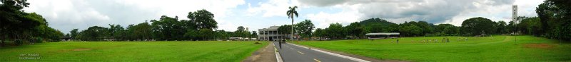 UPLB in Panorama