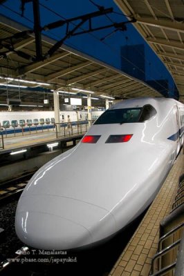 Shinkansen (Bullet Train)