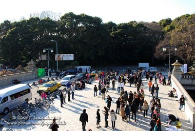 Harajuku （原宿）