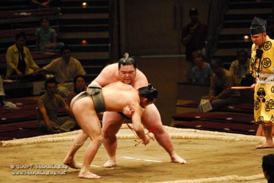 Sumo 2007