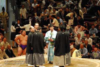 Sumo 2007