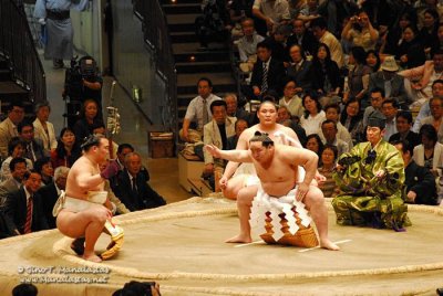 Sumo 2007