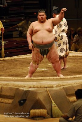 Sumo 2007