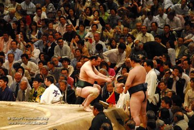 Sumo 2007