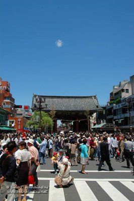 Sanja Matsuri (Festival)