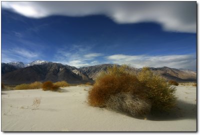 Death Valley 042 copy.jpg