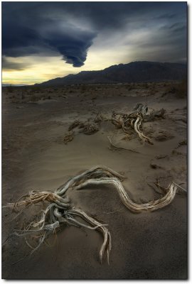 Death Valley 246 copy.jpg