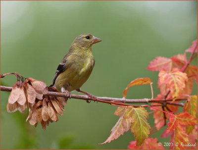 Signs of Autumn