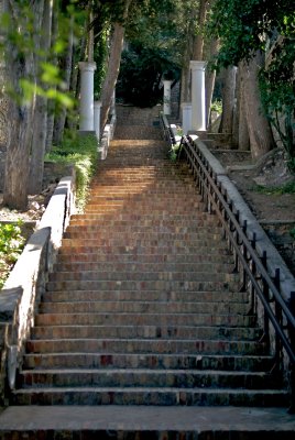 _DSC0243.jpg