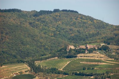 DSC_0016.jpg