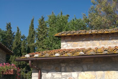 _DSC0008.jpg
