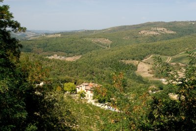 _DSC0016.jpg