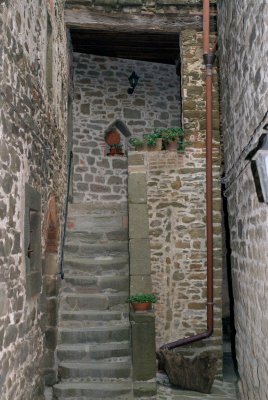 _DSC0034.jpg