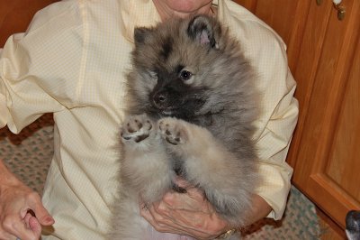 DSC_0048.jpg