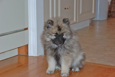 DSC_0055.jpg