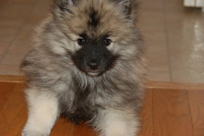 DSC_0056.jpg
