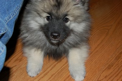 DSC_0086.jpg