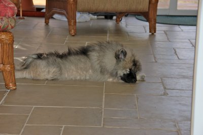 DSC_0095.jpg