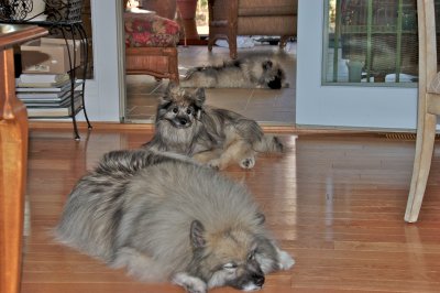 DSC_0096.jpg