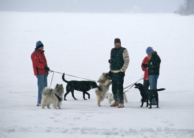 Winnipesaukee.jpg