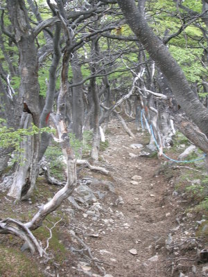 The trail went straight down, with ropes