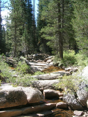 The beginning of my walk from Tuolumne to Yosemite down the creek bed