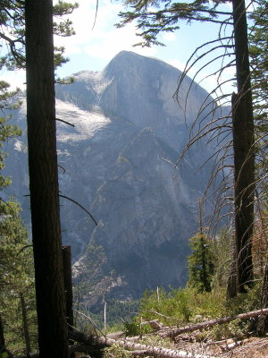 Half Dome directly accross the valley