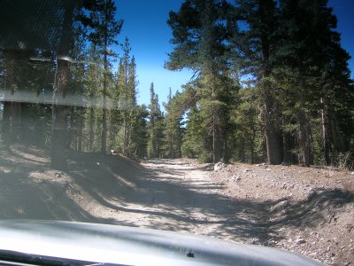 The high clearance road to Leavitt Lake