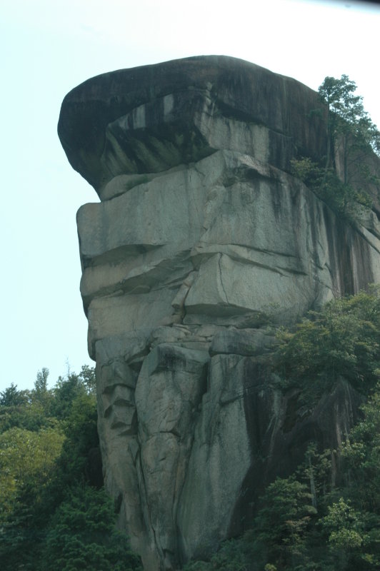The Lion King Rock
