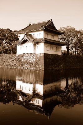 Japanese Reflection