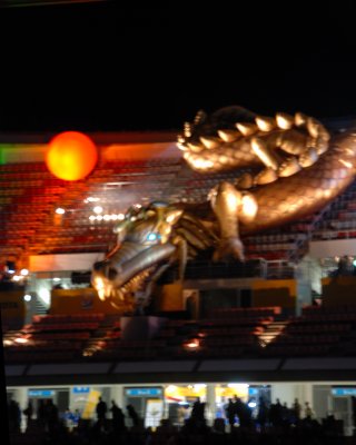 Ceremonial Dragon at the openning match