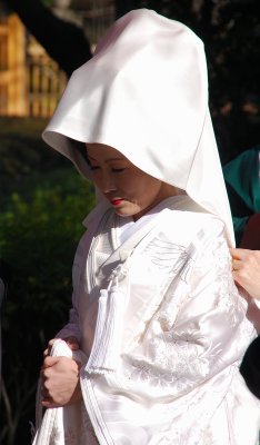 A Lovely Shy Bride