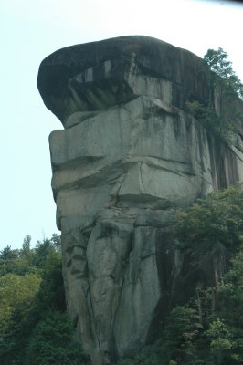 The Lion King Rock