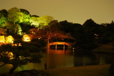 Night lit bridge