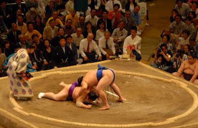 Sumo.. The language of talented power