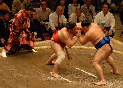 Sumo.. The language of talented power