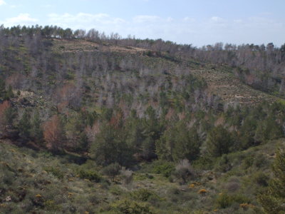 Al Khoms 6.JPG