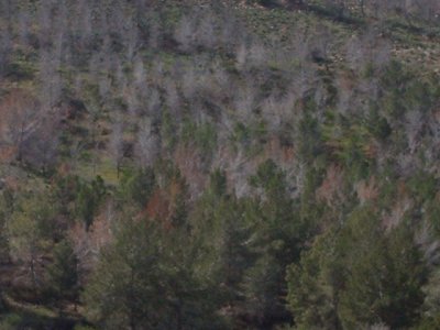 Al Khoms 7.JPG