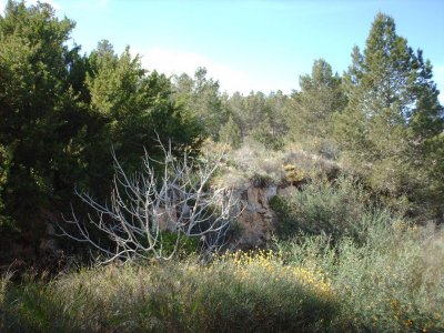 Al Khoms 10.JPG
