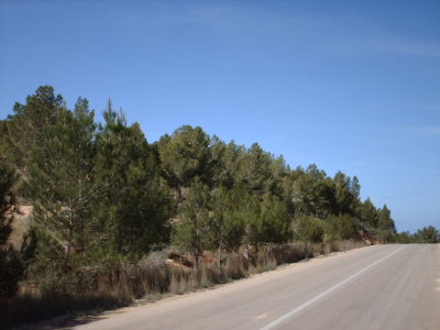 Al Khoms 25.JPG