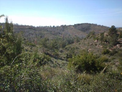 Al Khoms 50.JPG