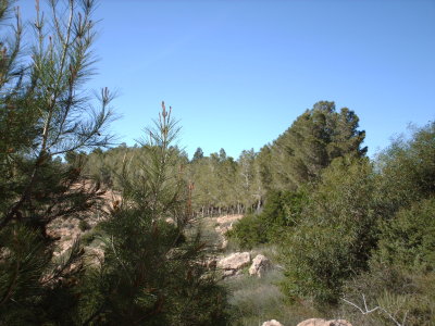 Al Khoms 52.JPG