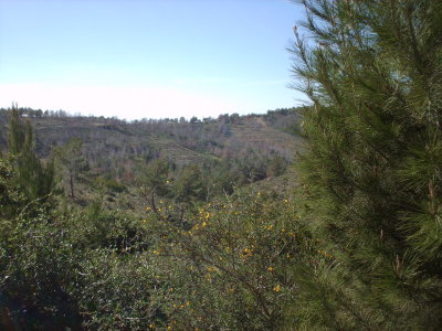 Al Khoms 53.JPG