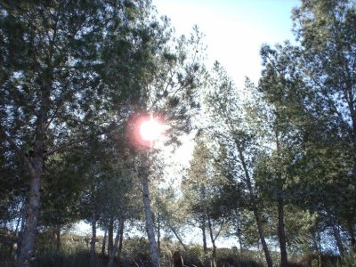 Al Khoms 58.JPG