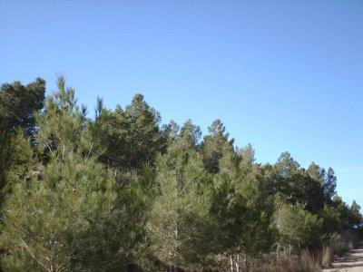 Al Khoms 67.JPG