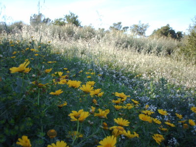 Al Khoms 86.JPG