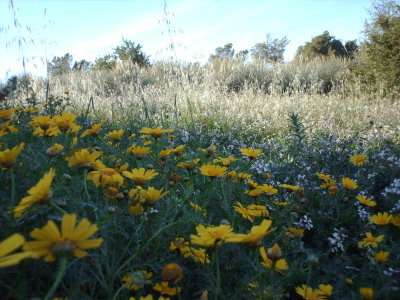 Al Khoms 99.JPG
