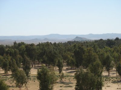 Wadi Mjinine6.jpg