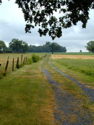 long road to the barn...